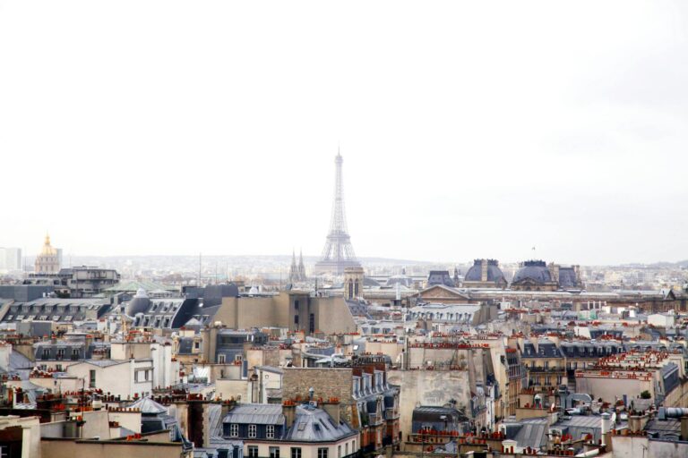 consultant ia paris