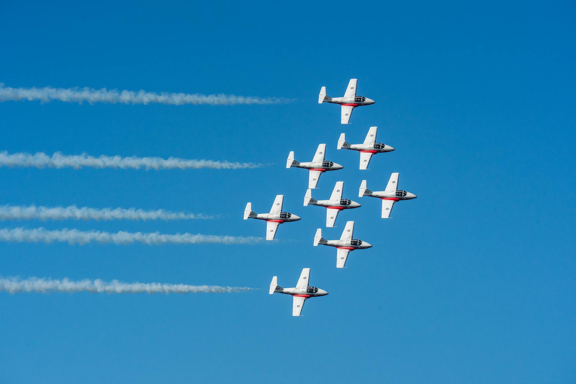 formation ia comex